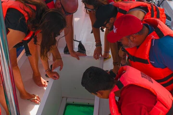Cabo San Lucas 2‑Hour Whale Watching: See El Arco and Pacific Humpbacks photo 5