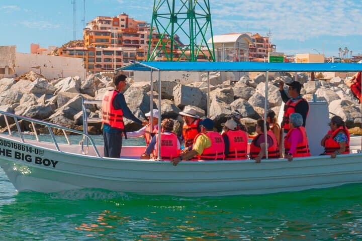 Cabo San Lucas 2‑Hour Whale Watching: See El Arco and Pacific Humpbacks photo 6