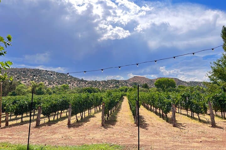 Verde Valley Wine Trail: Private Sedona Wine Tour & Tasting photo 3