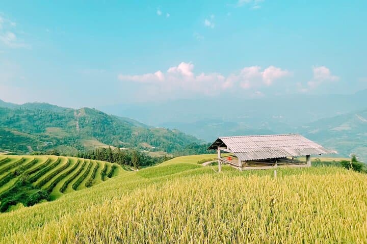 Hoang Su Phi 2-Day Private Car: Homestay & Terraced Rice Fields from Ha Giang photo 5