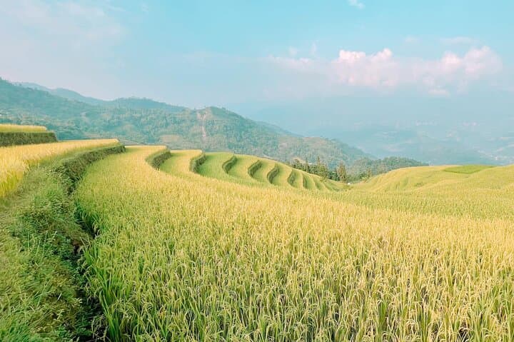 Hoang Su Phi 2-Day Private Car: Homestay & Terraced Rice Fields from Ha Giang photo 6