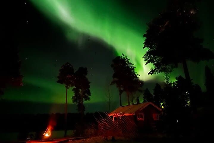 Chasing the Northern Lights: Private Aurora Hunt from Rovaniemi photo 3