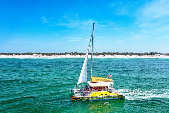 Footloose Dolphin Cruise in Panama City Beach – 90-Min Gulf Sightseeing photo 4