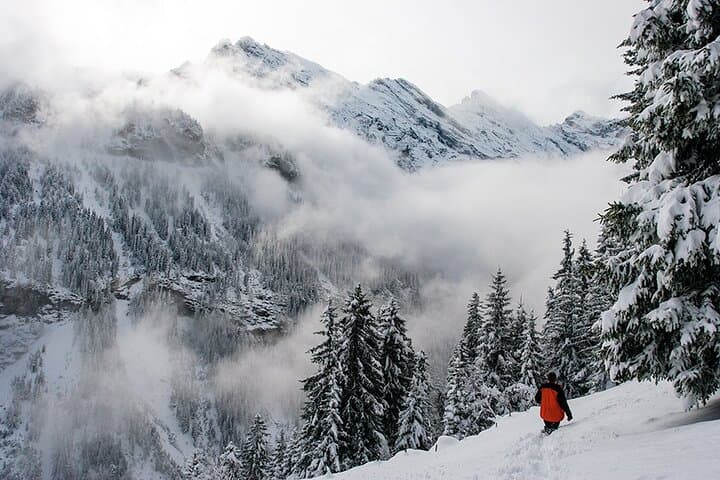 Private Scenic Train to the Jungfrau Region — Full-Day Guided Alps Tour photo 3