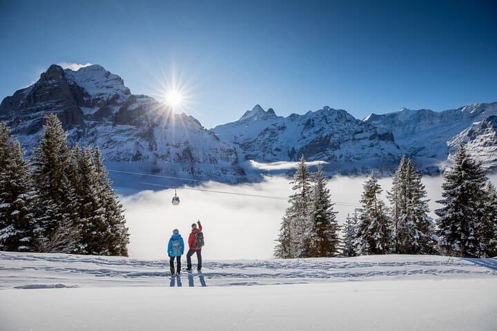 Private Scenic Train to the Jungfrau Region — Full-Day Guided Alps Tour photo 4