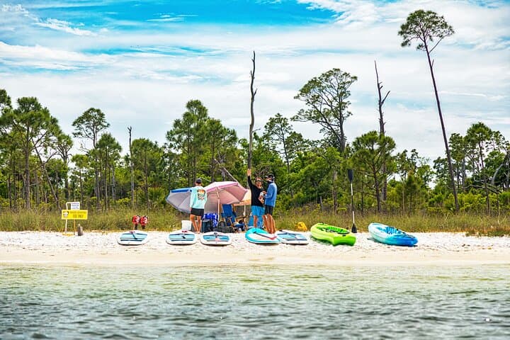 Catamaran to Shell Island: Inflatable Water Park, Snorkel & Dolphin Cruise in Panama City Beach photo 4