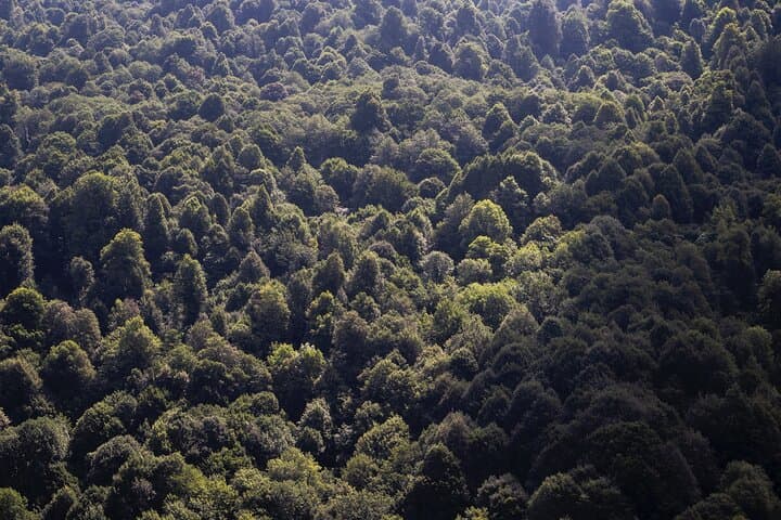 Exploring Bukit Takun: Private Hike and Climb Adventure Near Kuala Lumpur photo 6