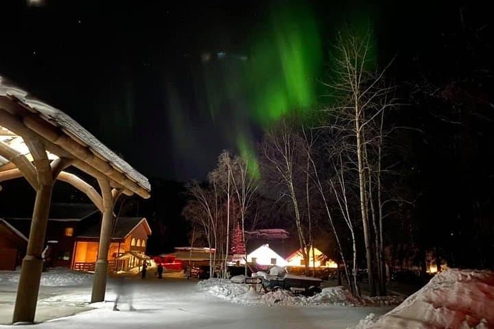 Chena Hot Springs Round-Trip from Fairbanks: Aurora, Hot Springs & Wilderness Drive photo 4