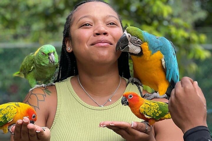 Rocklands Bird Sanctuary & Animal Farm Day Tour from Montego Bay photo 2