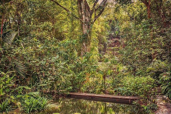 Private Tour to Entopia Butterfly Farm & Tropical Spice Garden — Penang Nature and Spice Day Trip photo 1