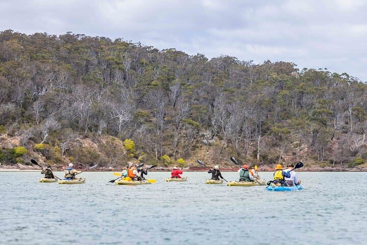 Pambula River Aboriginal Kayak Tour: 4-Hour Cultural Paddle to Severs Beach photo 3