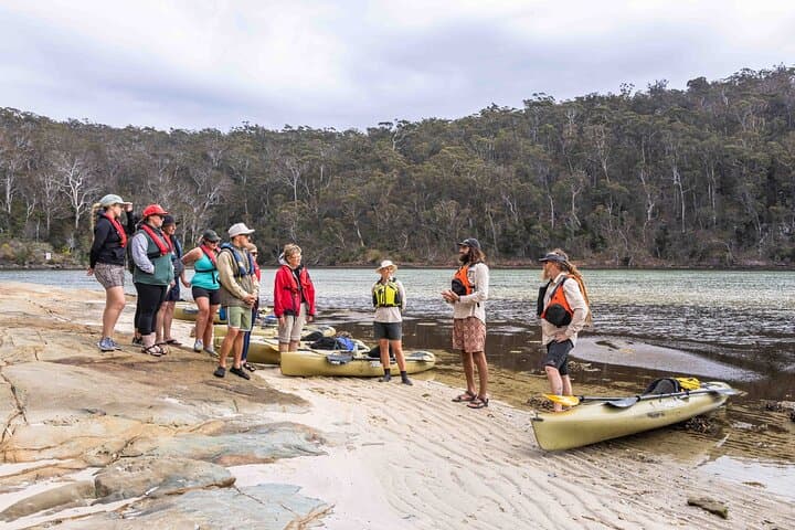 Pambula River Aboriginal Kayak Tour: 4-Hour Cultural Paddle to Severs Beach