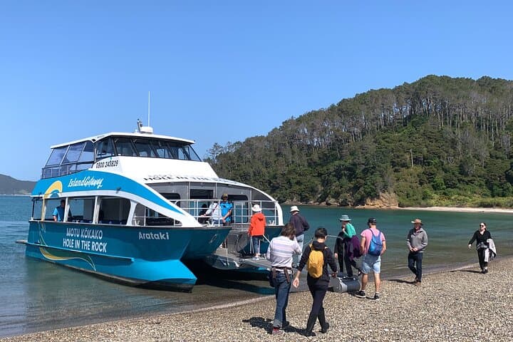 Bay of Islands Cruise: Hole-in-the-Rock, Roberton Island Snorkel & Hike photo 4