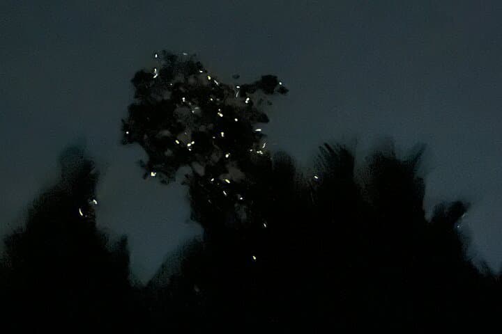 Night Kayak Firefly Tour on Abatan River — Bohol Guided Mangrove Paddle photo 4