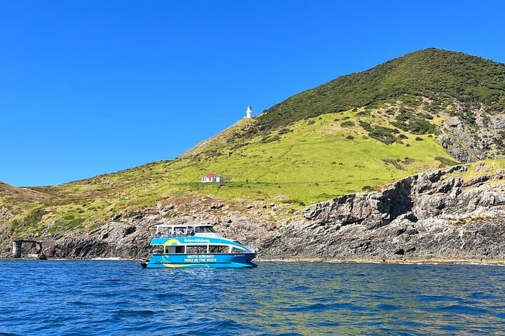 Hole in the Rock Cruise Bay of Islands: Snorkel, Island Hikes & Cape Brett Lighthouse photo 2
