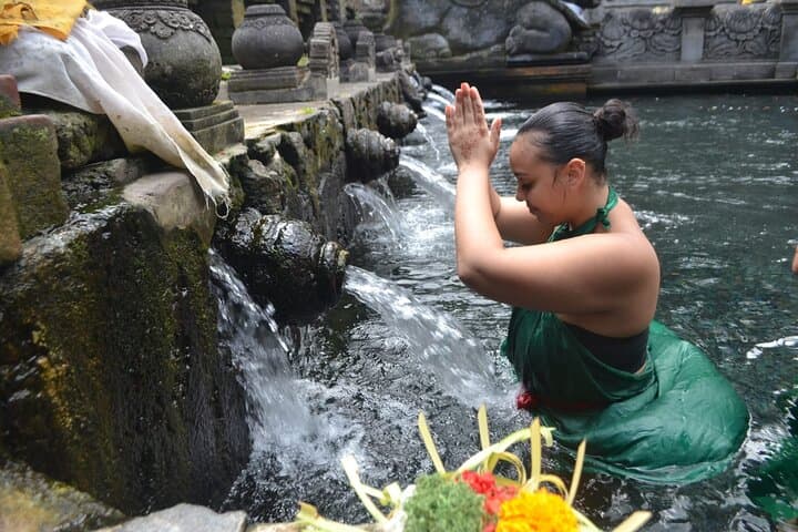 Ubud Cultural & Spring Temple Private Guided Tour — Tegalalang, Tirta Empul & Tegenungan photo 1