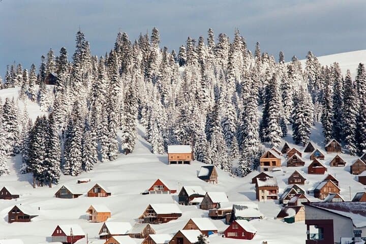 Day Trip to Bakhmaro Snow Resort from Kutaisi — One-Day Snow Escape photo 2
