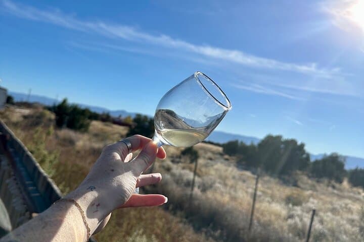 Penrose Uncorked: Self-Guided eBike Winery Loop Near Canon City photo 2
