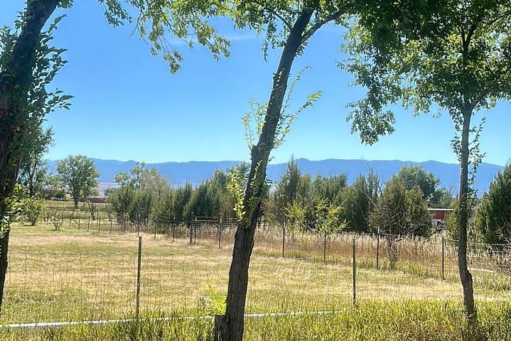 Penrose Uncorked: Self-Guided eBike Winery Loop Near Canon City photo 5