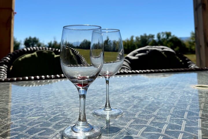 Penrose Uncorked: Self-Guided eBike Winery Loop Near Canon City photo 6