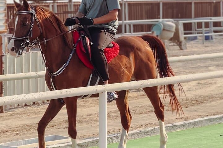 Doha Private Half-Day Desert Safari: Horse, Camel & Sandboard Adventure photo 2