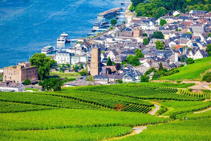 Private Rhine Valley Wine Tour from Frankfurt: Kloster Eberbach & Schloss Johannisberg
