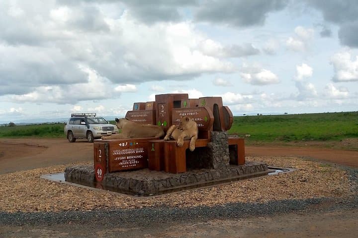 Explore Nairobi National Park: Half-Day Guided Safari Near the City photo 1
