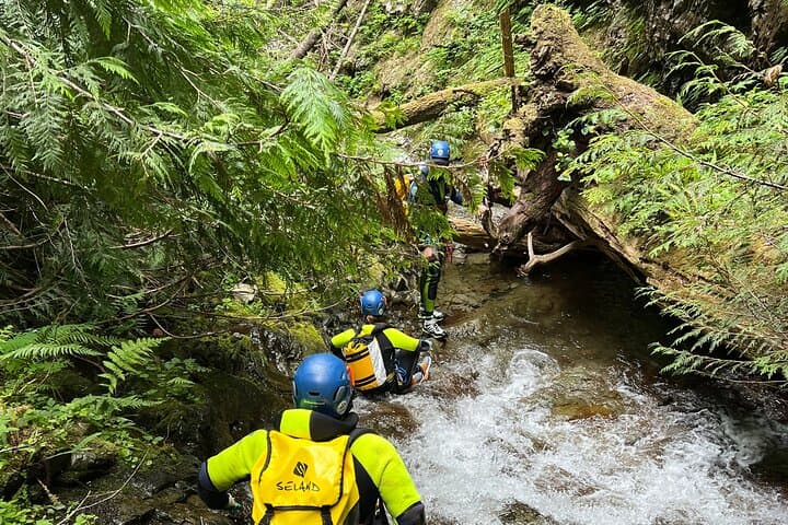 Half-Day Waterfall Canyoneering & Rappelling Adventure near North Bend, WA photo 3