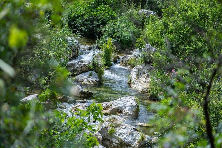 Pantalica Hike from Syracuse: Explore Gorges, Rock Tombs & Anapo River Trails photo 5