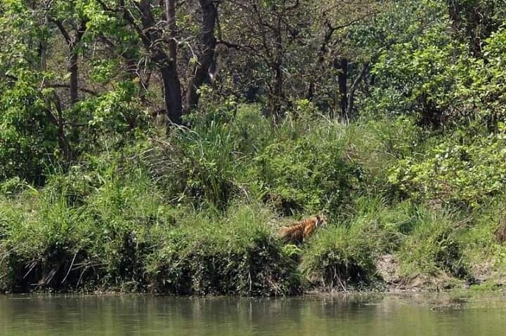 Exclusive Untouched Madi Safari — Chitwan National Park Jeep, Jungle Walk & Campfire Night photo 1