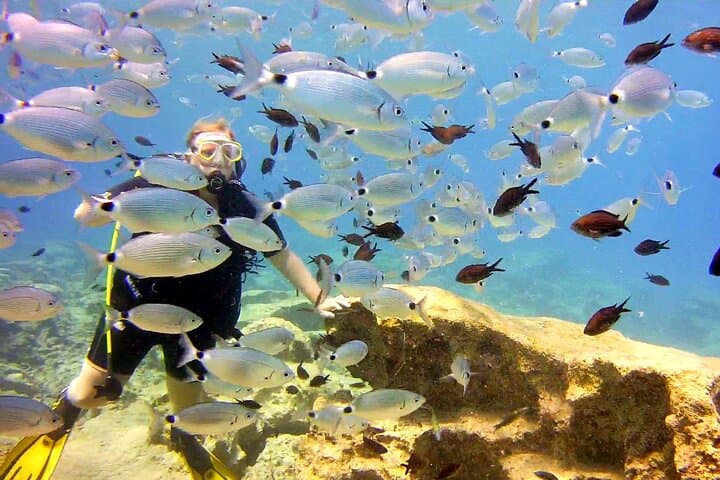 Discover Scuba Diving at Green Bay, Protaras — Private Guided Dives for Beginners photo 2