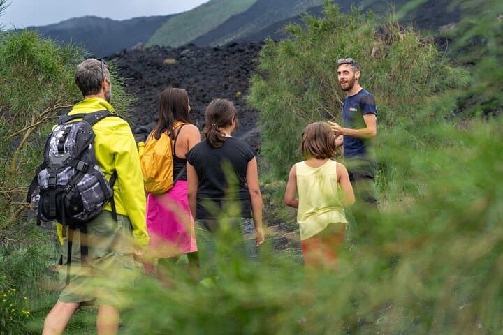Mt Etna Nature and Flavors Half-Day Tour from Catania | Lava Craters, Cave Visit & Tastings photo 2