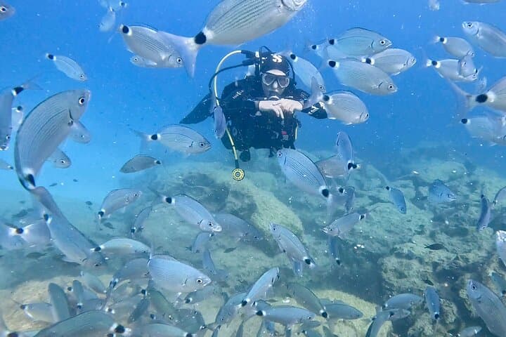 Discover Scuba Diving at Green Bay, Protaras — Private Guided Dives for Beginners photo 3