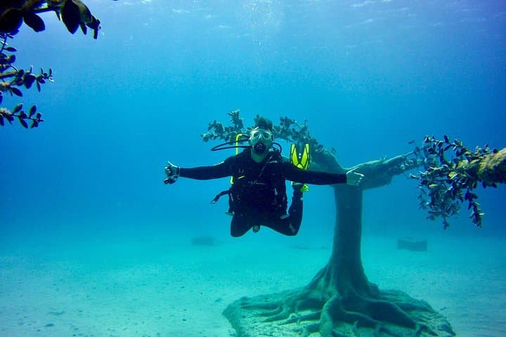Private Dive at MUSAN Underwater Sculpture Park in Ayia Napa photo 5