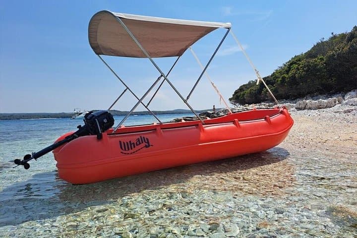 Boat Rental to Cousteau Reserve — Snorkel Guadeloupe's Coral Gardens Without a License