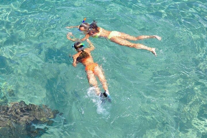 Cabo San Lucas Arch & Playa del Amor Boat Tour — Snorkel, Sea Lions, and El Arco photo 6