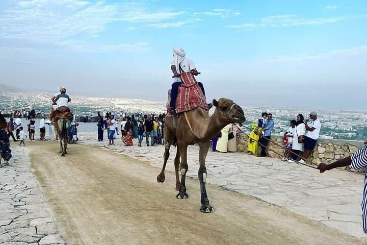 Agadir Danialand Cable Car & Kasbah Shuttle — Panoramic Ride to Agadir Oufella photo 5