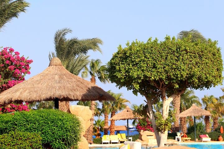 Private Red Sea Day Trip from Cairo: Snorkel Ain Sokhna's Reefs photo 5