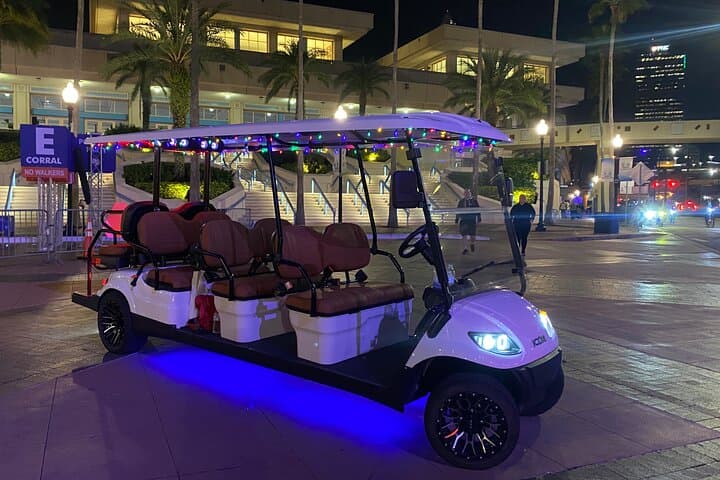 Cruising Tampa’s Christmas Lights Wonderland: A Deluxe Golf Cart Experience photo 2