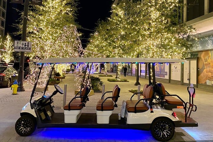 Cruising Tampa’s Christmas Lights Wonderland: A Deluxe Golf Cart Experience photo 6