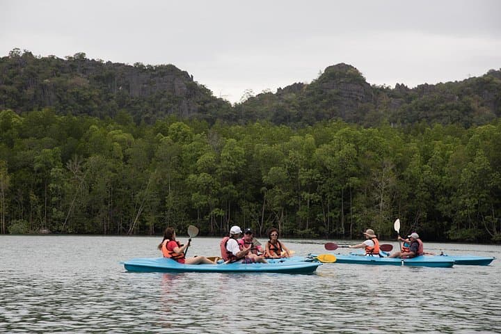 Half-Day Private Kayak Through Langkawi’s Mangroves and Bat Caves photo 6