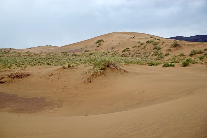 Full-Day Private Tour to Altyn Emel National Park from Almaty photo 2