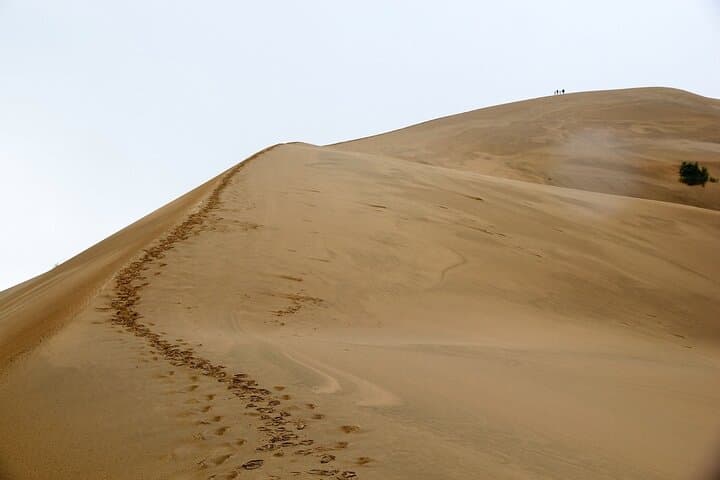 Full-Day Private Tour to Altyn Emel National Park from Almaty photo 3