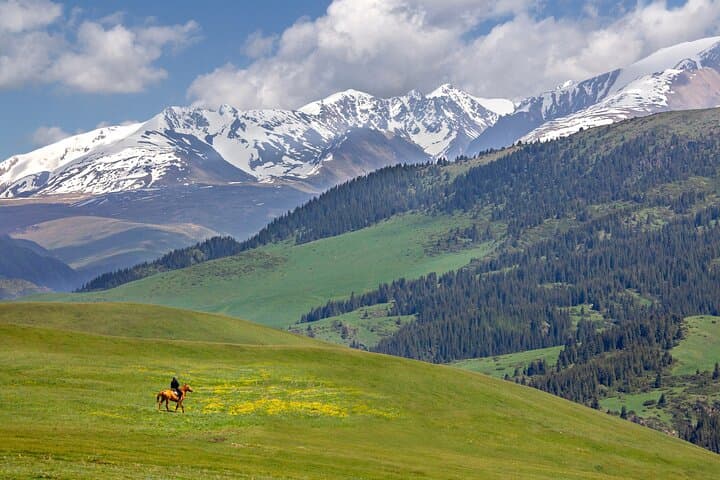 Full-Day Private Tour to Assy Plateau: 4WD Scenic Drive from Almaty