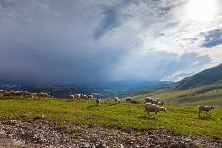 Full-Day Private Tour to Assy Plateau: 4WD Scenic Drive from Almaty photo 2