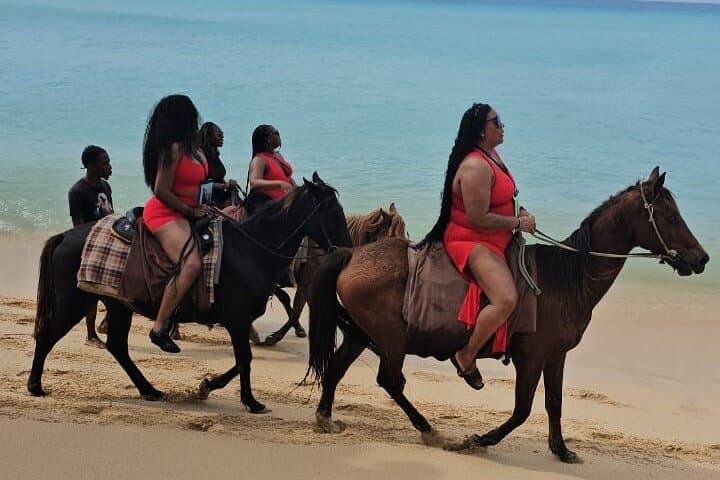 Horses on Hawksbill: 1-Hour Beach Ride at Five Islands, Antigua