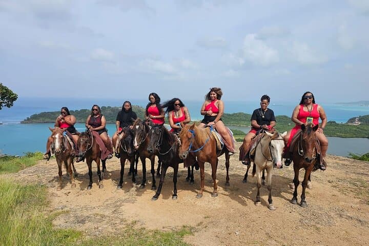 Horses on Hawksbill: 1-Hour Beach Ride at Five Islands, Antigua photo 3