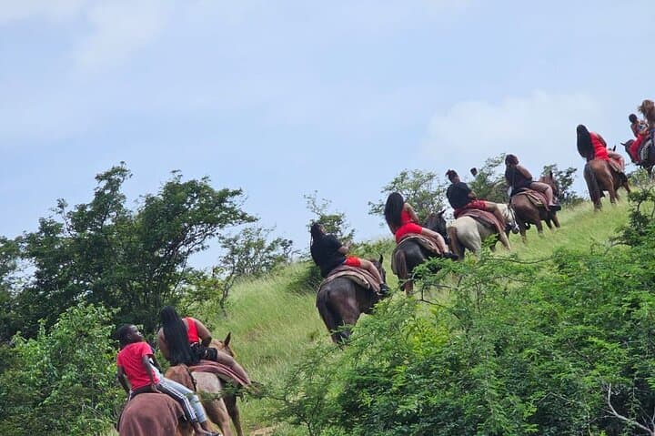 Horses on Hawksbill: 1-Hour Beach Ride at Five Islands, Antigua photo 4