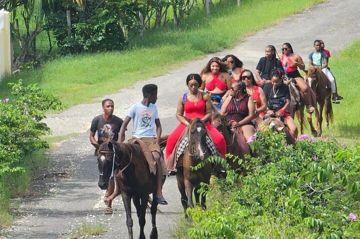 Horses on Hawksbill: 1-Hour Beach Ride at Five Islands, Antigua photo 5