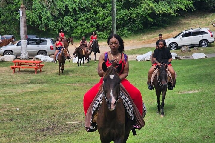 Horses on Hawksbill: 1-Hour Beach Ride at Five Islands, Antigua photo 6